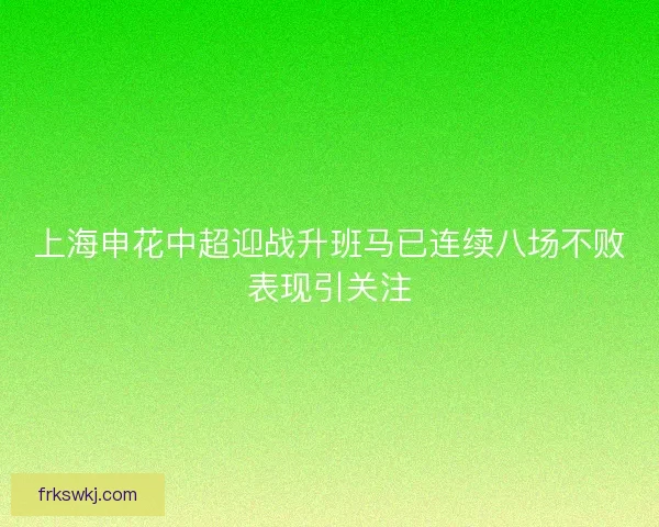 上海申花中超迎战升班马已连续八场不败表现引关注 上海申花中超迎战升班马已连续八场不败表现引关注